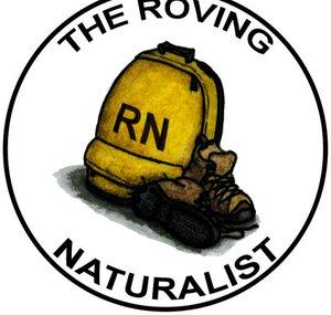 The Roving Naturalist