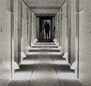 AccidentalLuxuriance