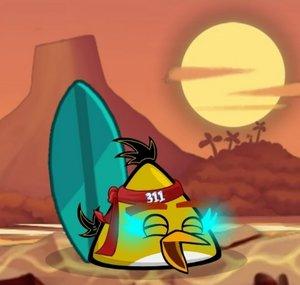 ANGRY BIRDS 311