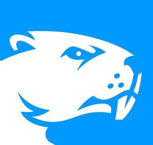 Battle Beaver Customs