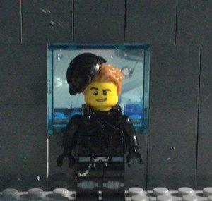 Brick vids