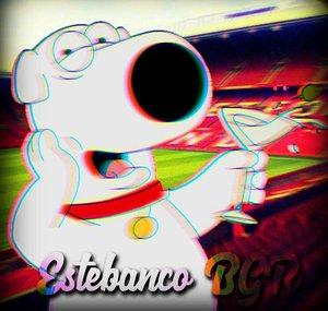 Estebanco BGR 2004