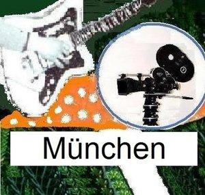 Fliegenpilzmuenchen