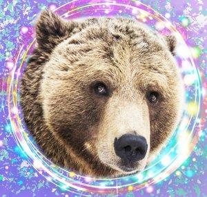 Медведь Мансур - Mansur the Bear