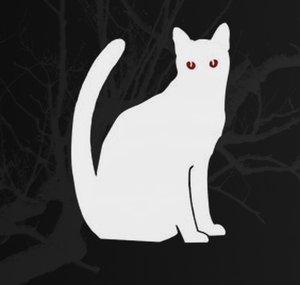 MrCreepyKitty