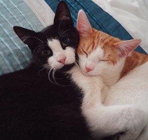 Tom and Mimi