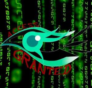 Access Granted Official