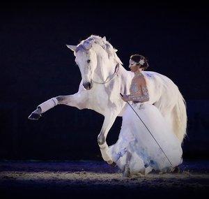AlizeeHorseShow