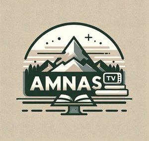 Amnas