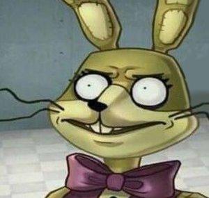 AverageGamerBo1
