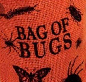 Bag of Bugs