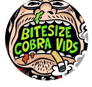 Bitesize Cobra Vids