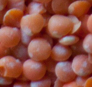 Bowl of Lentils
