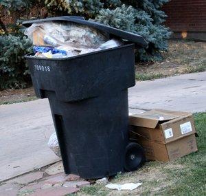DailyDumpster