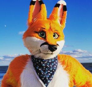 DoonTheFox