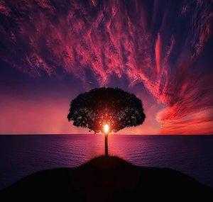 Inner Peace