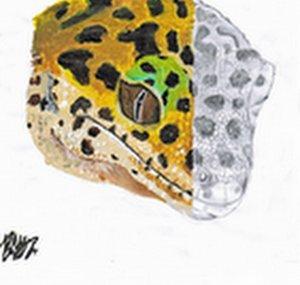 panthergeckodude998