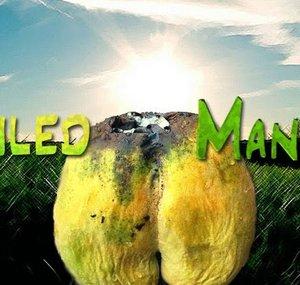 SpoiledMangoes