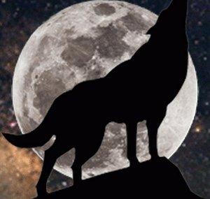 usmlonewolf