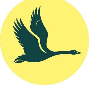 WWT
