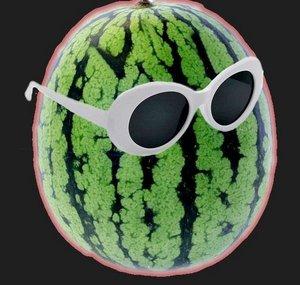 aWildWaterMelonAppears