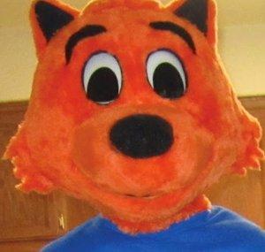 coolcatfunhouse
