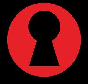 Region Unlocked JAPAN