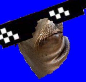 Sealbot