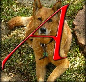 The Barking Atheist