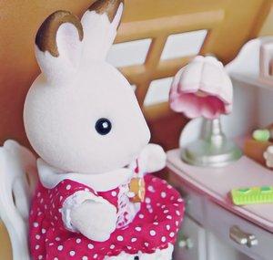 Beccas Toy Collection