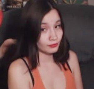 BronzeFox