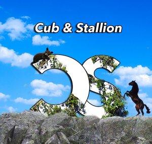 Cub & Stallion