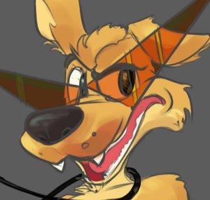DINGO
