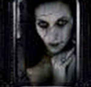 drakulady