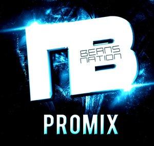 Thepromix4