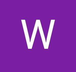 WiggleNoggin