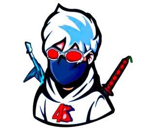 4Flag Gamer