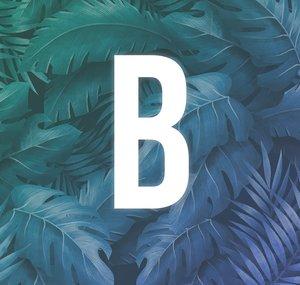 Baneif