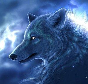 BlueWolf