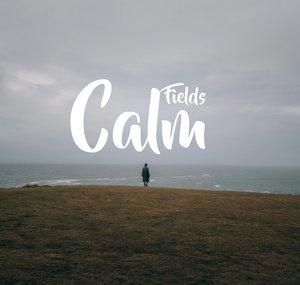 Calm Fields