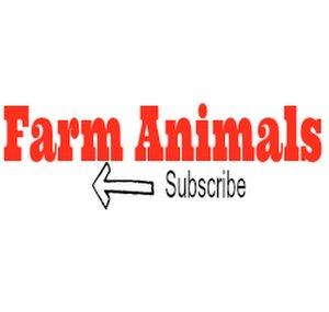 Farm Animals