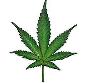 Marijuana Records