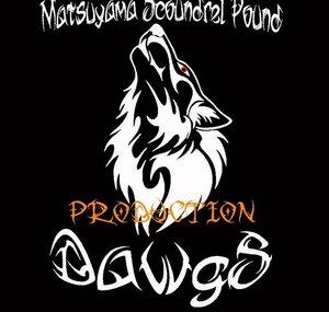 MSPDawgs