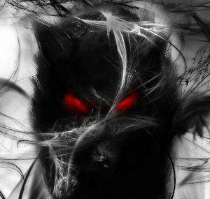 Nexus Wulf