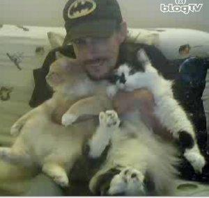 Our6Cats