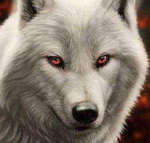 SIF LE LOUP BLANC