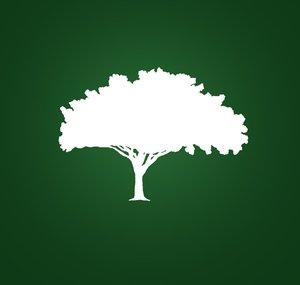 The Tolkien Tree