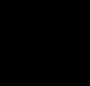 Ataoffiziell