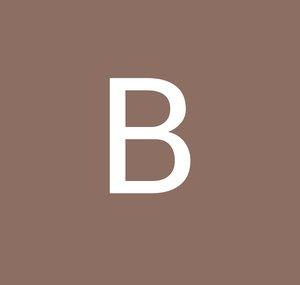 Basilisp