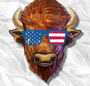 Cross Timbers Bison Clips